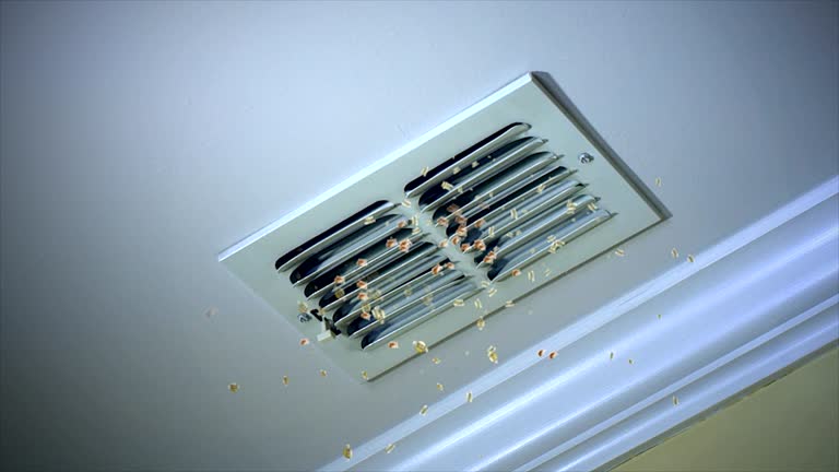 Best HVAC Duct Inspection Services  in Fishers, IN