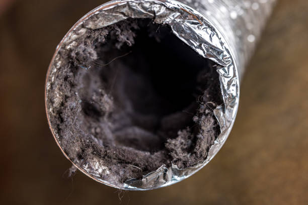 Best Home Air Vent Cleaning  in Fishers, IN
